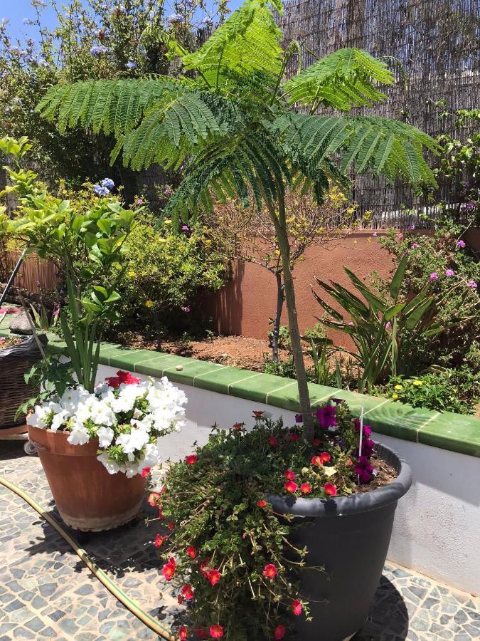 Apartamento con encanto en la playa frente al mar Posada Rent House Puerto del Rosario  Exterior foto